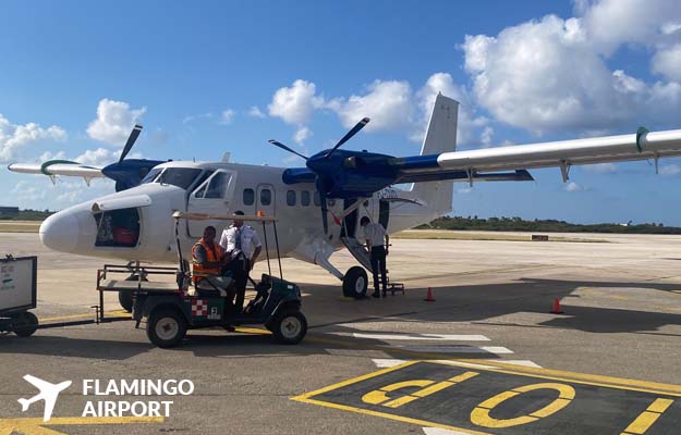 Flamingo Airport